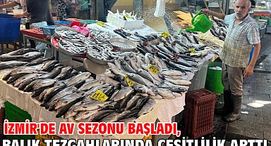 İzmir'de av sezonu başladı, balık tezgahlarında çeşitlilik arttı