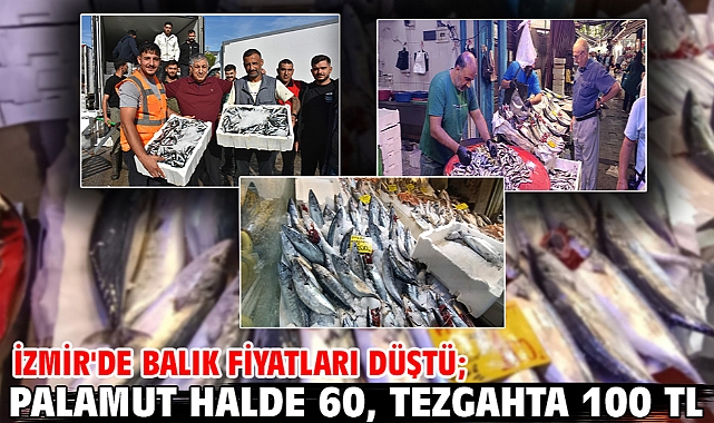 İzmir'de balık fiyatları düştü; palamut halde 60, tezgahta 100 TL