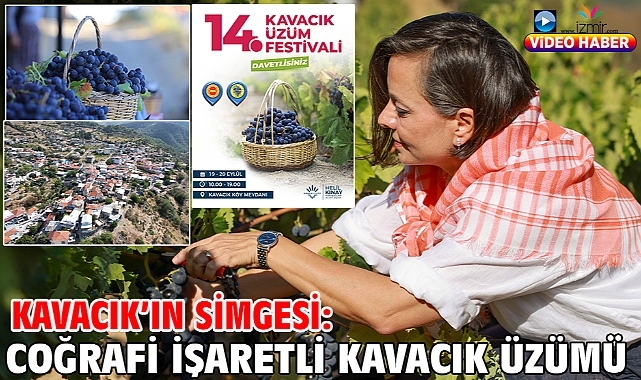 Kavacık’ın Simgesi: Coğrafi İşaretli Kavacık Üzümü