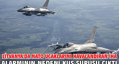 Litvanya'da NATO uçaklarını havalandıran İHA alarmının nedeni kuş sürüsü çıktı