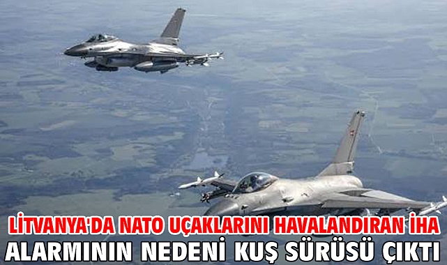 Litvanya'da NATO uçaklarını havalandıran İHA alarmının nedeni kuş sürüsü çıktı