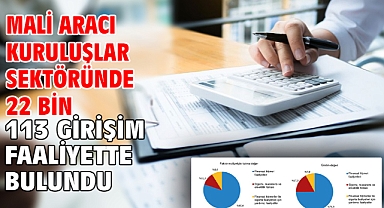 Mali aracı kuruluşlar sektöründe 22 bin 113 girişim faaliyette bulundu