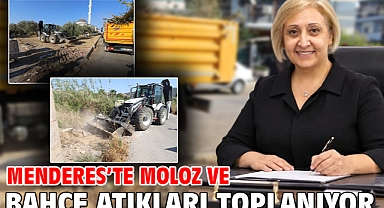 Menderes'te Moloz ve Bahçe Atıkları Toplanıyor
