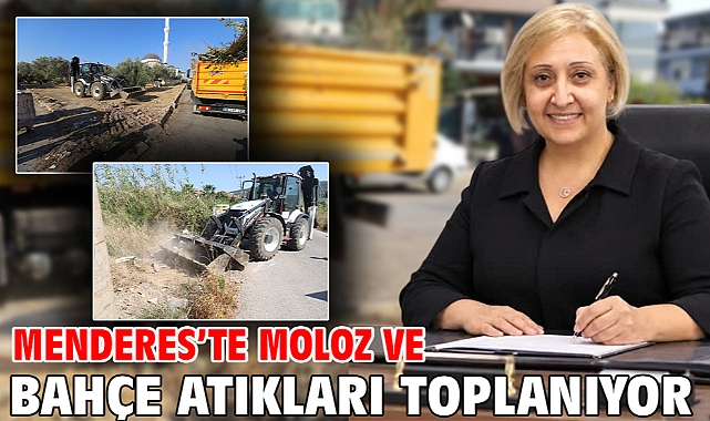 Menderes'te Moloz ve Bahçe Atıkları Toplanıyor