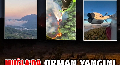 Muğla'da orman yangını