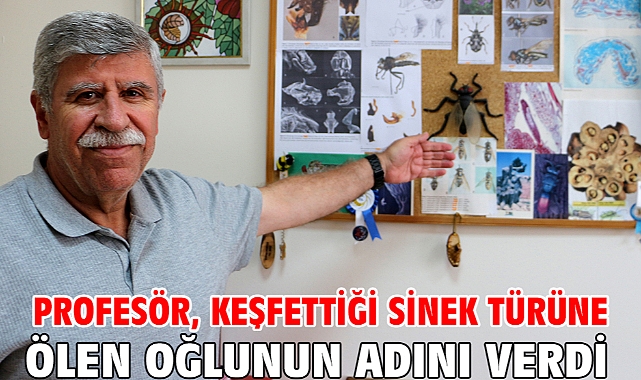 Profesör, keşfettiği sinek türüne ölen oğlunun adını verdi