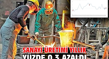 Sanayi üretimi yıllık yüzde 0,3 azaldı