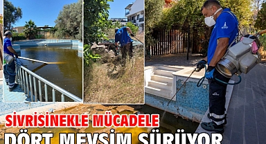 Sivrisinekle mücadele dört mevsim sürüyor
