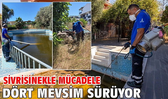 Sivrisinekle mücadele dört mevsim sürüyor