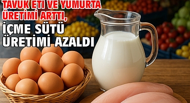 Tavuk eti ve yumurta üretimi arttı, içme sütü üretimi azaldı