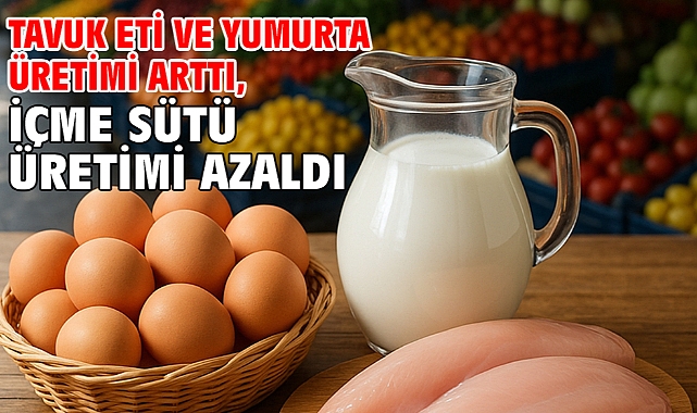 Tavuk eti ve yumurta üretimi arttı, içme sütü üretimi azaldı