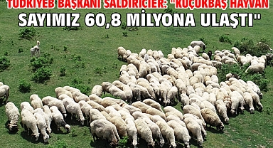 TÜDKİYEB Başkanı Saldırıcıer: