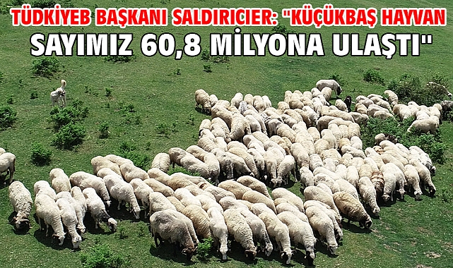 TÜDKİYEB Başkanı Saldırıcıer: