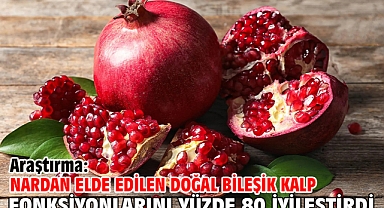 Araştırma: Nardan elde edilen doğal bileşik kalp fonksiyonlarını yüzde 80 iyileştirdi