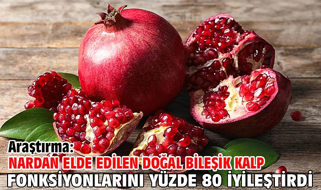 Araştırma: Nardan elde edilen doğal bileşik kalp fonksiyonlarını yüzde 80 iyileştirdi