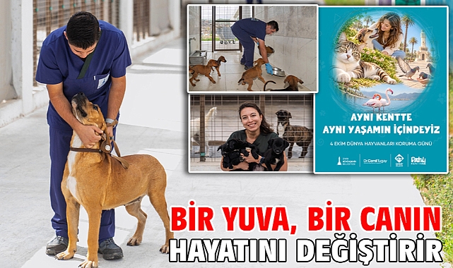 Bir yuva, bir canın hayatını değiştirir