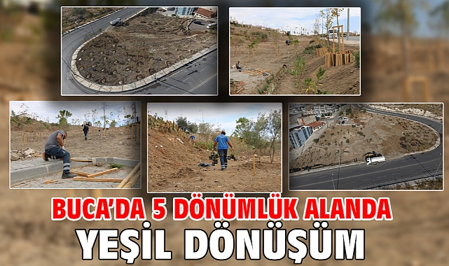 Buca’da 5 dönümlük alanda yeşil dönüşüm