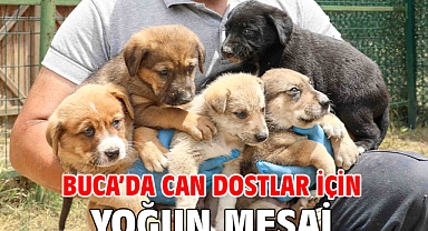 Buca’da can dostlar için yoğun mesai