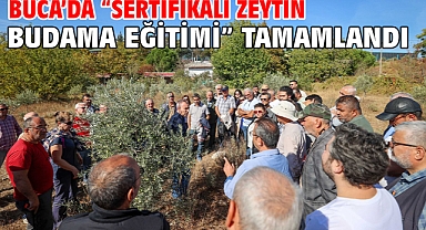 Buca’da “Sertifikalı Zeytin Budama Eğitimi” tamamlandı