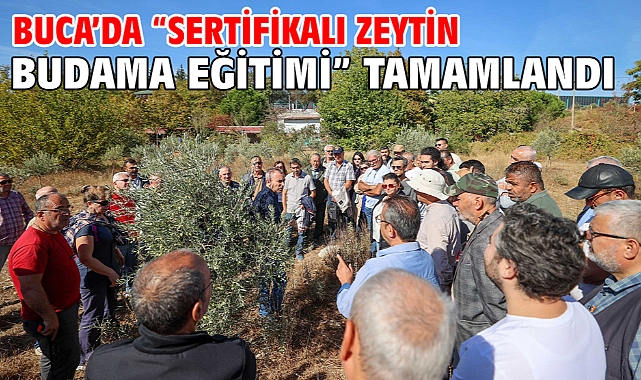 Buca’da “Sertifikalı Zeytin Budama Eğitimi” tamamlandı