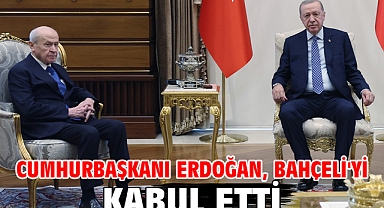 Cumhurbaşkanı Erdoğan, Bahçeli'yi kabul etti