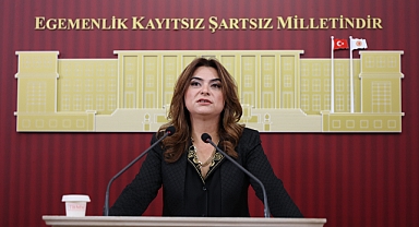 DEM Parti’li Koçyiğit: Bu ülkedeki her 100 liranın 17 lirası faize gidiyor
