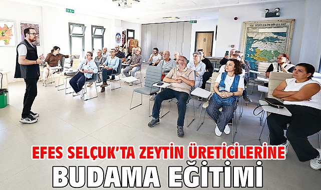 Efes Selçuk’ta Zeytin Üreticilerine Budama Eğitimi
