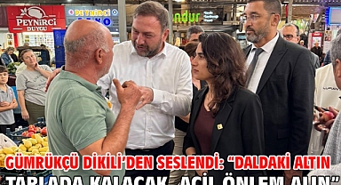 Gümrükçü Dikili’den Seslendi: “Daldaki Altın Tarlada Kalacak, Acil Önlem Alın”