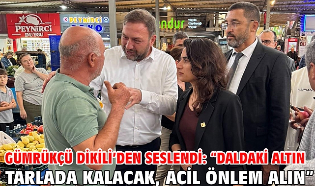 Gümrükçü Dikili’den Seslendi: “Daldaki Altın Tarlada Kalacak, Acil Önlem Alın”