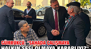 Gümrükçü: