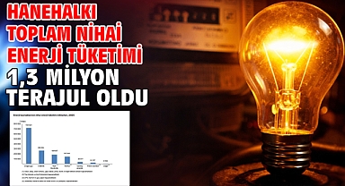 Hanehalkı toplam nihai enerji tüketimi 1,3 milyon terajul oldu