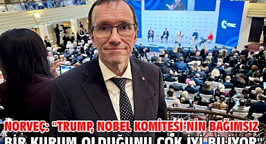 Norveç: