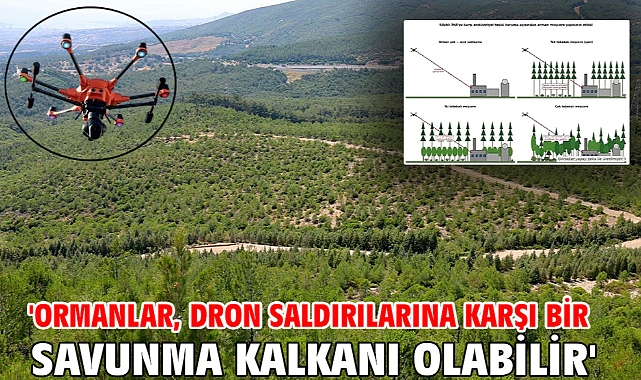 'Ormanlar, dron saldırılarına karşı bir savunma kalkanı olabilir'