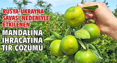 Rusya-Ukrayna savaşı nedeniyle etkilenen mandalina ihracatına TIR çözümü