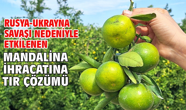 Rusya-Ukrayna savaşı nedeniyle etkilenen mandalina ihracatına TIR çözümü