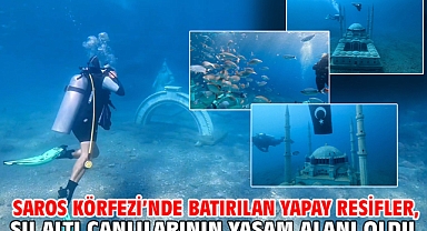 Saros Körfezi’nde batırılan yapay resifler, su altı canlılarının yaşam alanı oldu