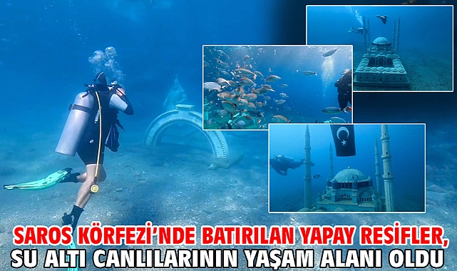 Saros Körfezi’nde batırılan yapay resifler, su altı canlılarının yaşam alanı oldu