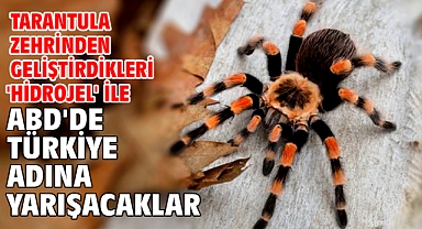 Tarantula zehrinden geliştirdikleri 'hidrojel' ile ABD'de Türkiye adına yarışacaklar
