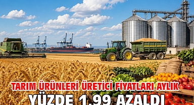 Tarım ürünleri üretici fiyatları aylık yüzde 1,99 azaldı