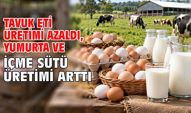 Tavuk eti üretimi azaldı, yumurta ve içme sütü üretimi arttı