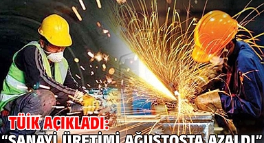 TÜİK açıkladı: Sanayi üretimi ağustosta azaldı