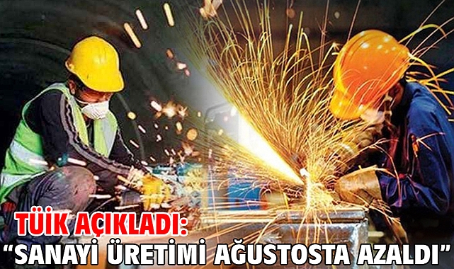 TÜİK açıkladı: Sanayi üretimi ağustosta azaldı