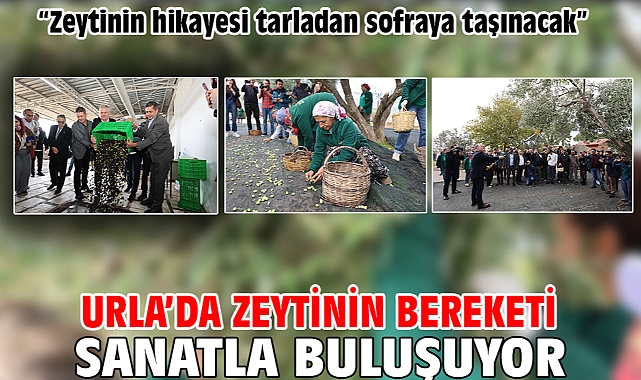Urla'da zeytinin bereketi sanatla buluşuyor
