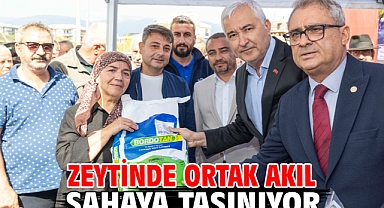 Zeytinde ortak akıl sahaya taşınıyor