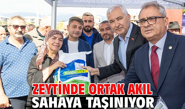Zeytinde ortak akıl sahaya taşınıyor