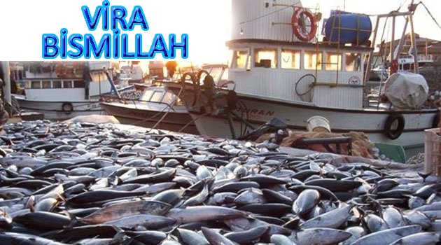 BALIK AVI YASAĞI SONA ERDİ