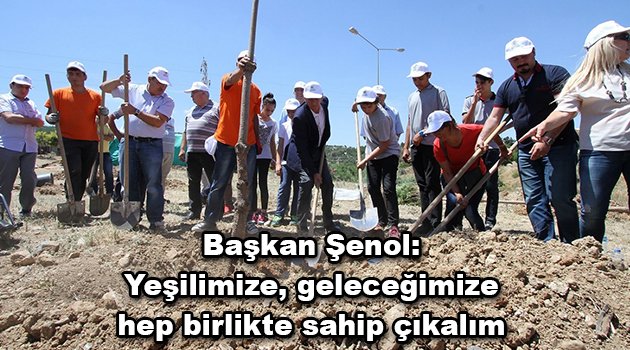 Başkan Şenol: Yeşilimize, geleceğimize hep birlikte sahip çıkalım