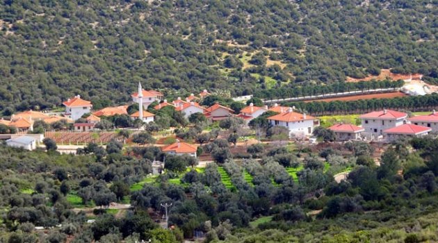 Bilirkişi, Urla villalarına ruhsatın yolunu açtı!