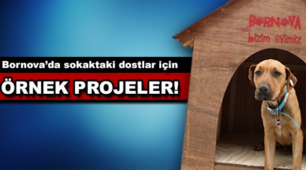 Bornova’da sokaktaki dostlar için örnek projeler