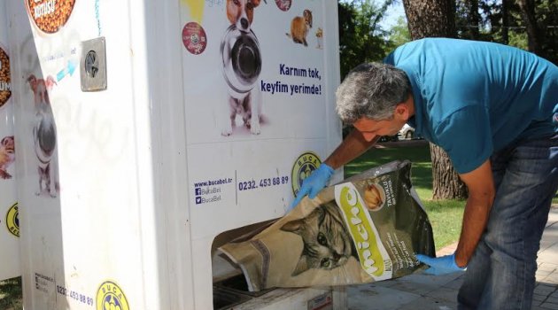 Buca’da sokak hayvanları için yoğun mesai